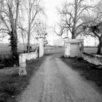 Alchimie des Colombes