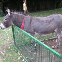 La Ferme des 10 Ecus