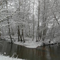 Neige