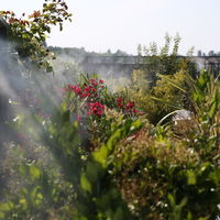 Notre rooftop est équipé de brumisateurs pour mieux profiter de l'été