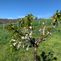 Salle de Réception Savigny