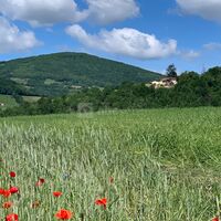 Salle de Réception Savigny