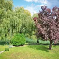 Le Moulin de Poincy