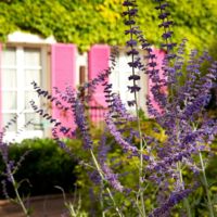 Manoir de Gressy