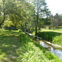 Son parc