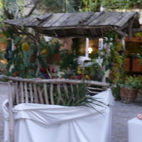 Buffet fruits