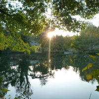 Nos cabanes sur pilotis depuis la rivière