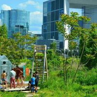 Grand jardin avec des ruches, serres, système aquaponique, poulailler, potager etc