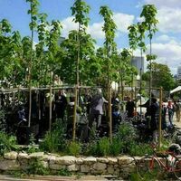Une pépinière et un poumon vert pour le quartier