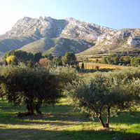 ALPILLES
