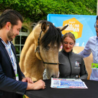 Pluvinel La Cité du Cheval