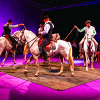 Pluvinel La Cité du Cheval