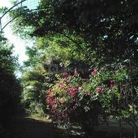 Ambiance champêtre