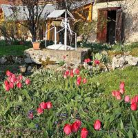 Le printemps au Grand Nanteux