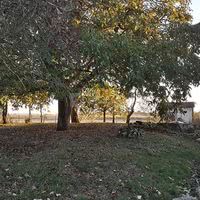 Ambiance champêtre
