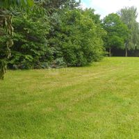 Espace vert