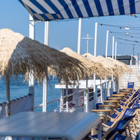 Polpo Plage