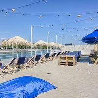 Polpo Plage