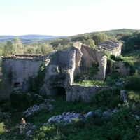 Vue
