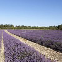 Domaine de Sarson