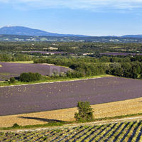 Domaine de Sarson