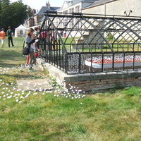 Jardin et serre