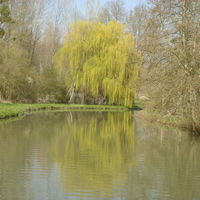 La rivière de la Cisse