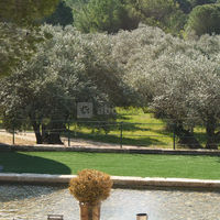Château Puech-Haut