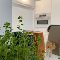 Décoration