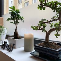 Décoration