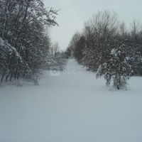 Chemin autour de l'étang en hiver