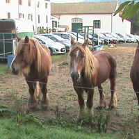 Bati salle plus gite