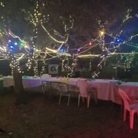 Dans le parc sous un ciel de lumières
