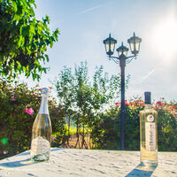 Restaurant le Patriarche