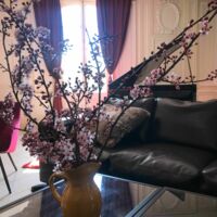 La Fleure de Quinsac