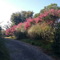 Domaine Oustau Cassou