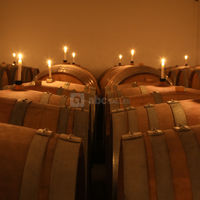 Domaine Regnard