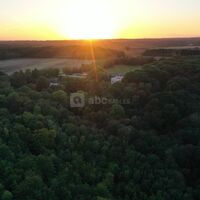 LA FORET DE ROSNY