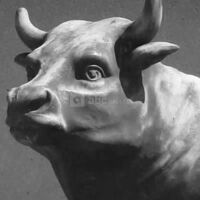 La Table des Bouchers