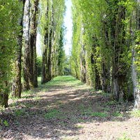 Parc