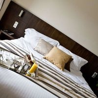 Best Western Plus Hôtel des Francs