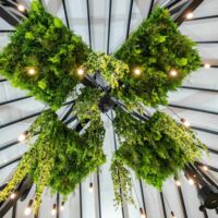 Ibis Styles Cayenne Centre Amazonia