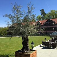 Les Violettes Hôtel & Spa