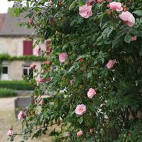 Ferme de Valeuse