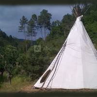 Le tipi