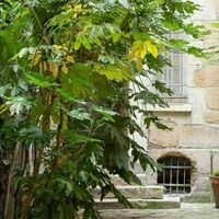 Galerie MR 137