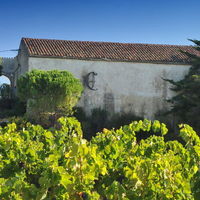 La Bergerie du Château Camplazens