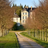 Arrivée par l'allée arborée