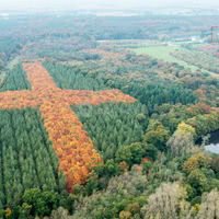 Dans un écrin de nature