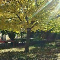 Le parc